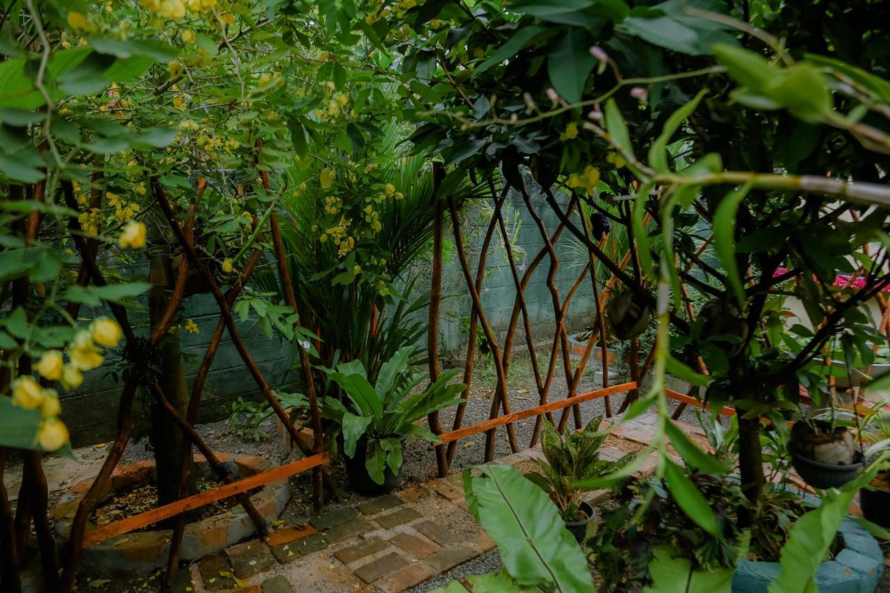Ruwan Jungle Homestay Mirissa Zewnętrze zdjęcie