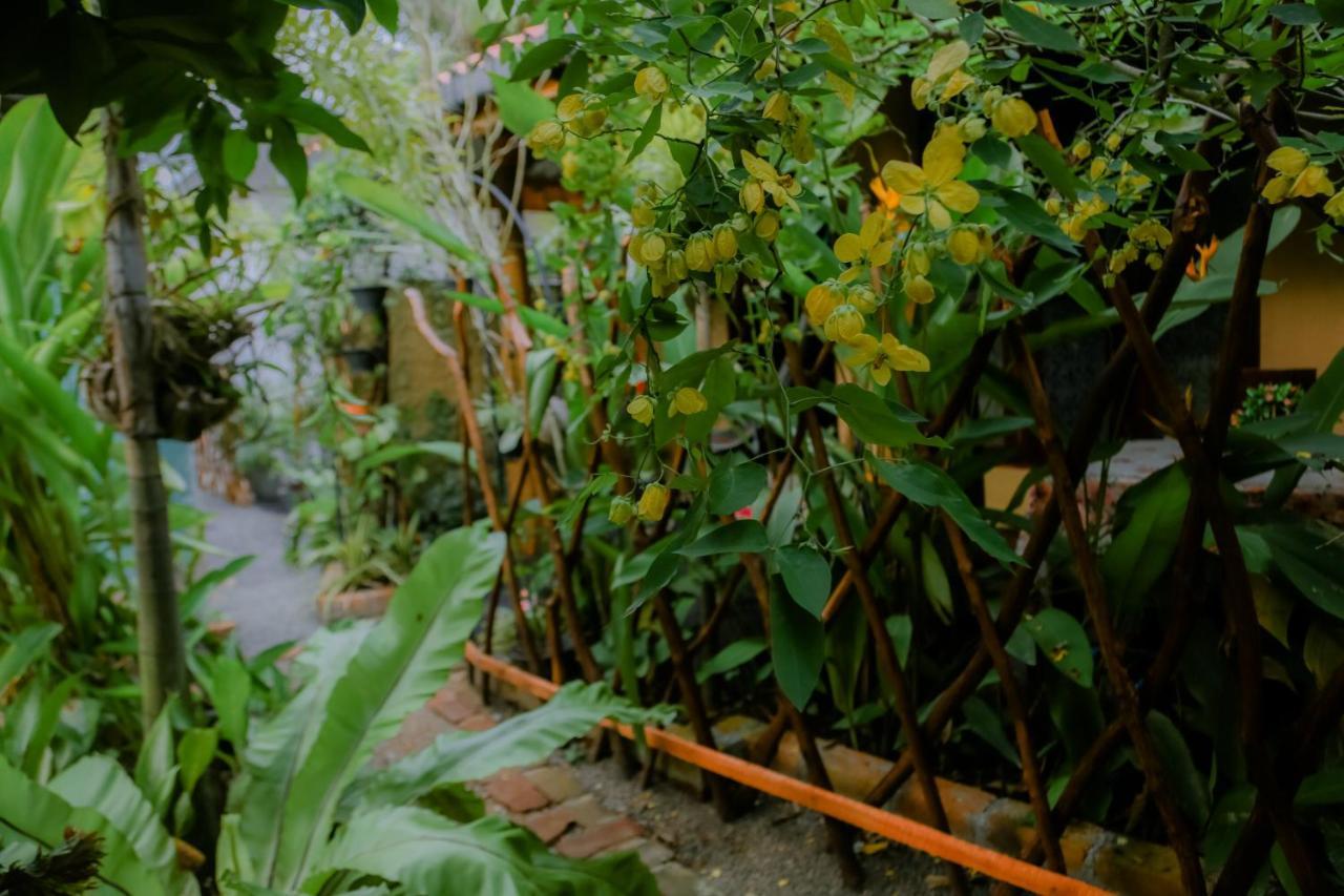 Ruwan Jungle Homestay Mirissa Zewnętrze zdjęcie