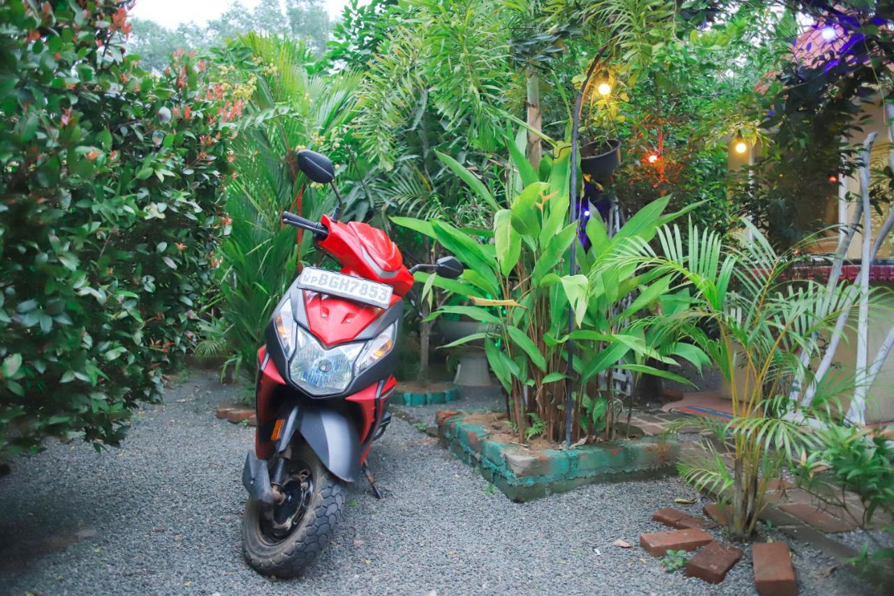 Ruwan Jungle Homestay Mirissa Zewnętrze zdjęcie