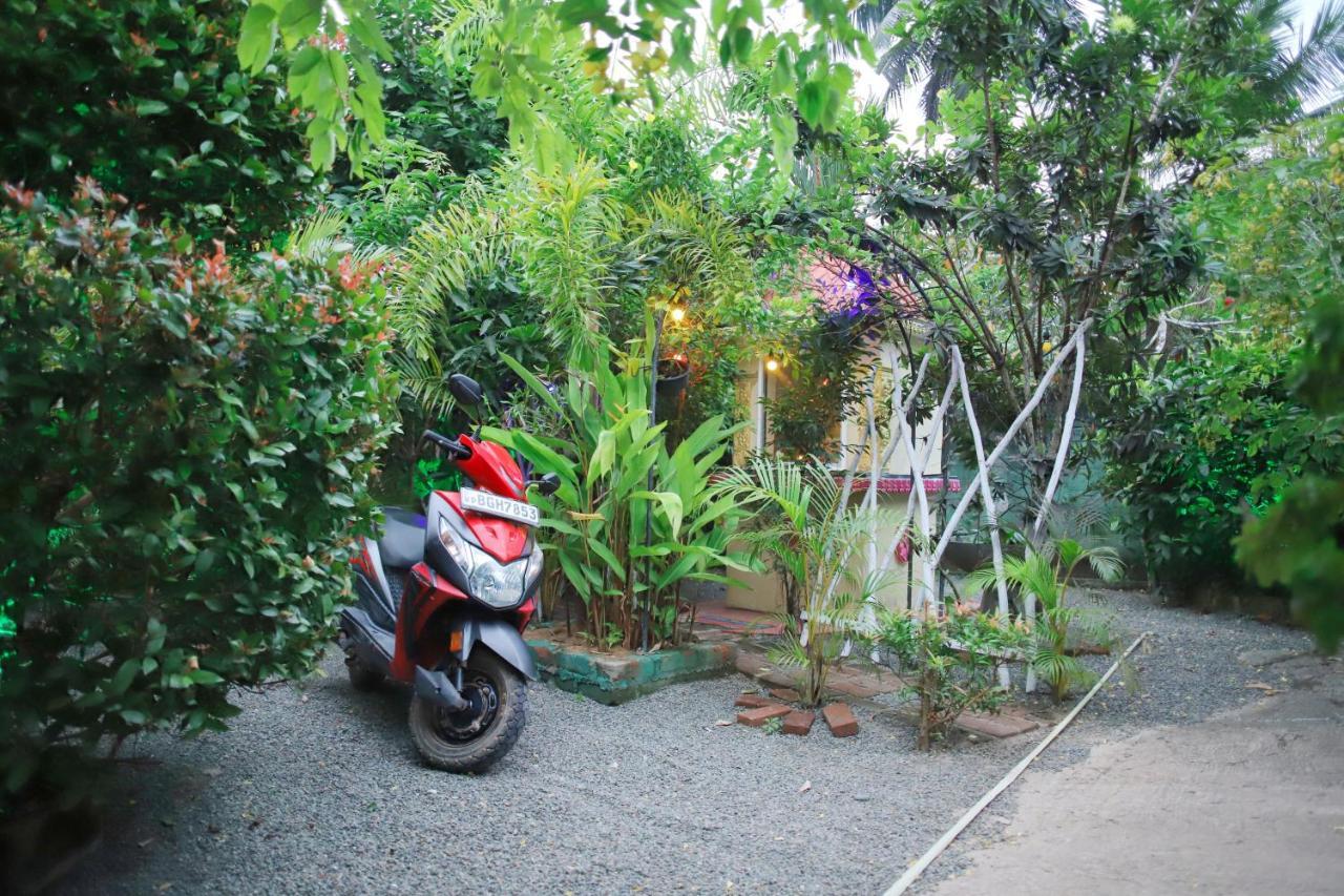 Ruwan Jungle Homestay Mirissa Zewnętrze zdjęcie