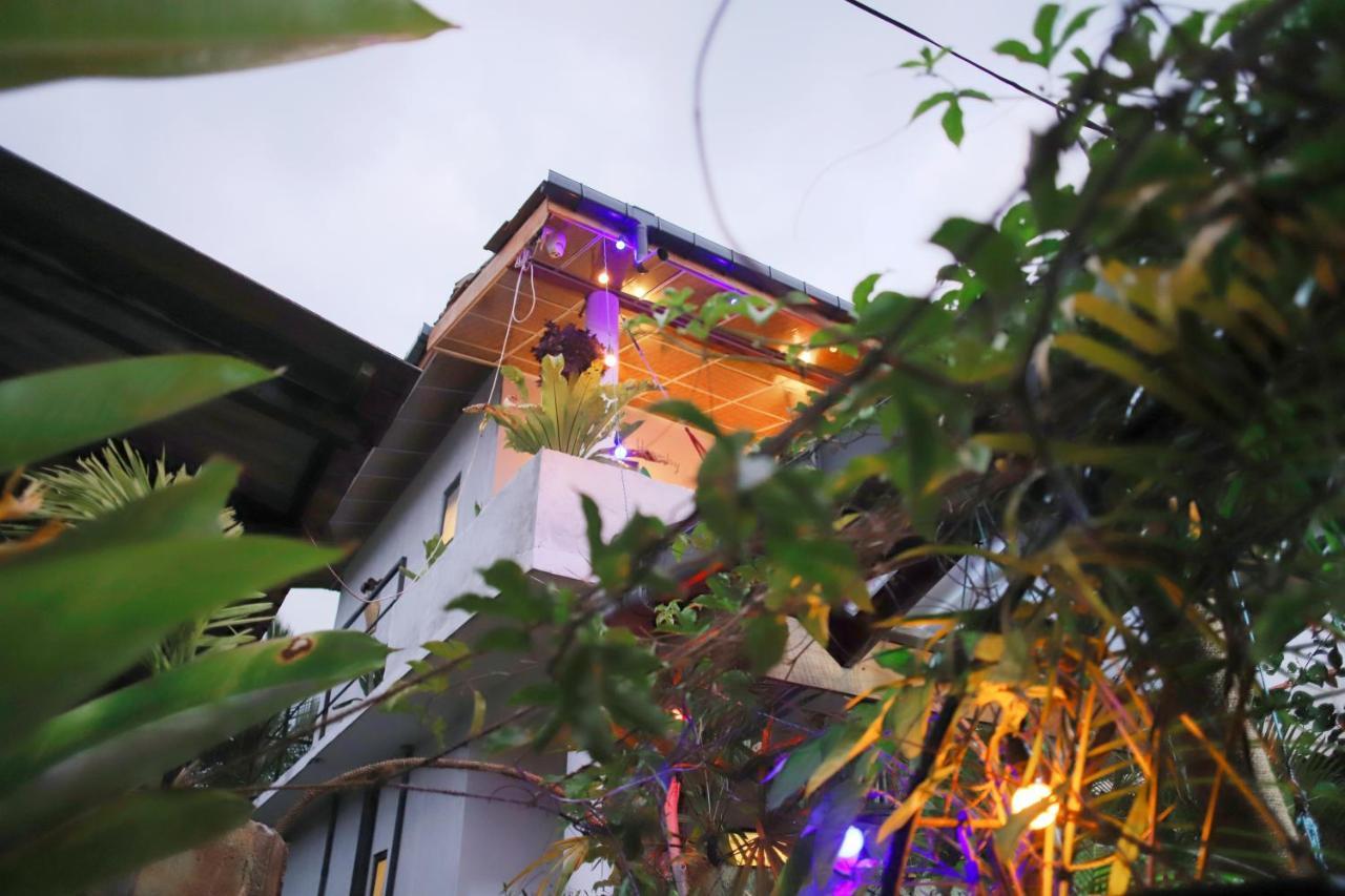 Ruwan Jungle Homestay Mirissa Zewnętrze zdjęcie