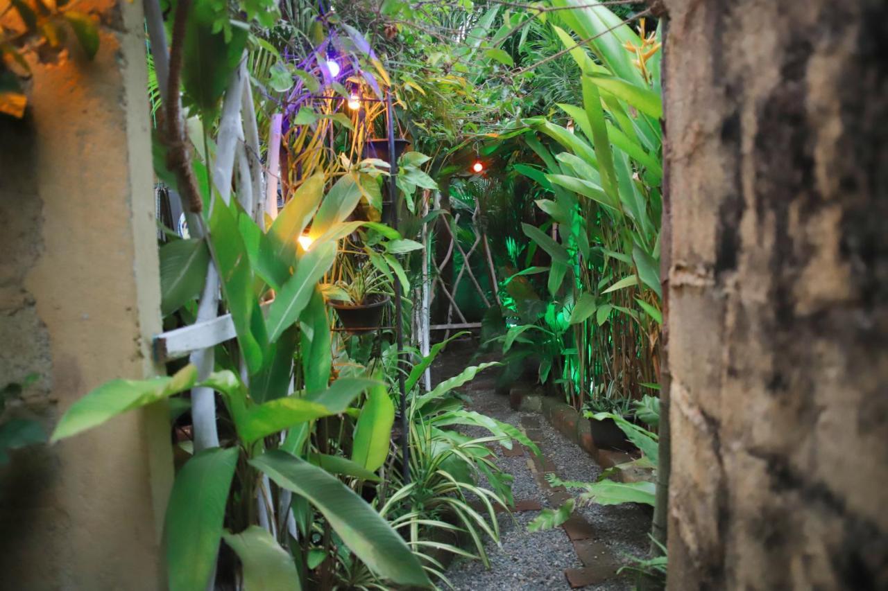 Ruwan Jungle Homestay Mirissa Zewnętrze zdjęcie