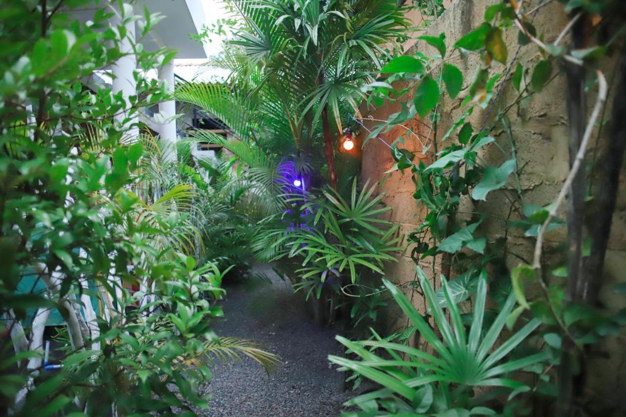Ruwan Jungle Homestay Mirissa Zewnętrze zdjęcie
