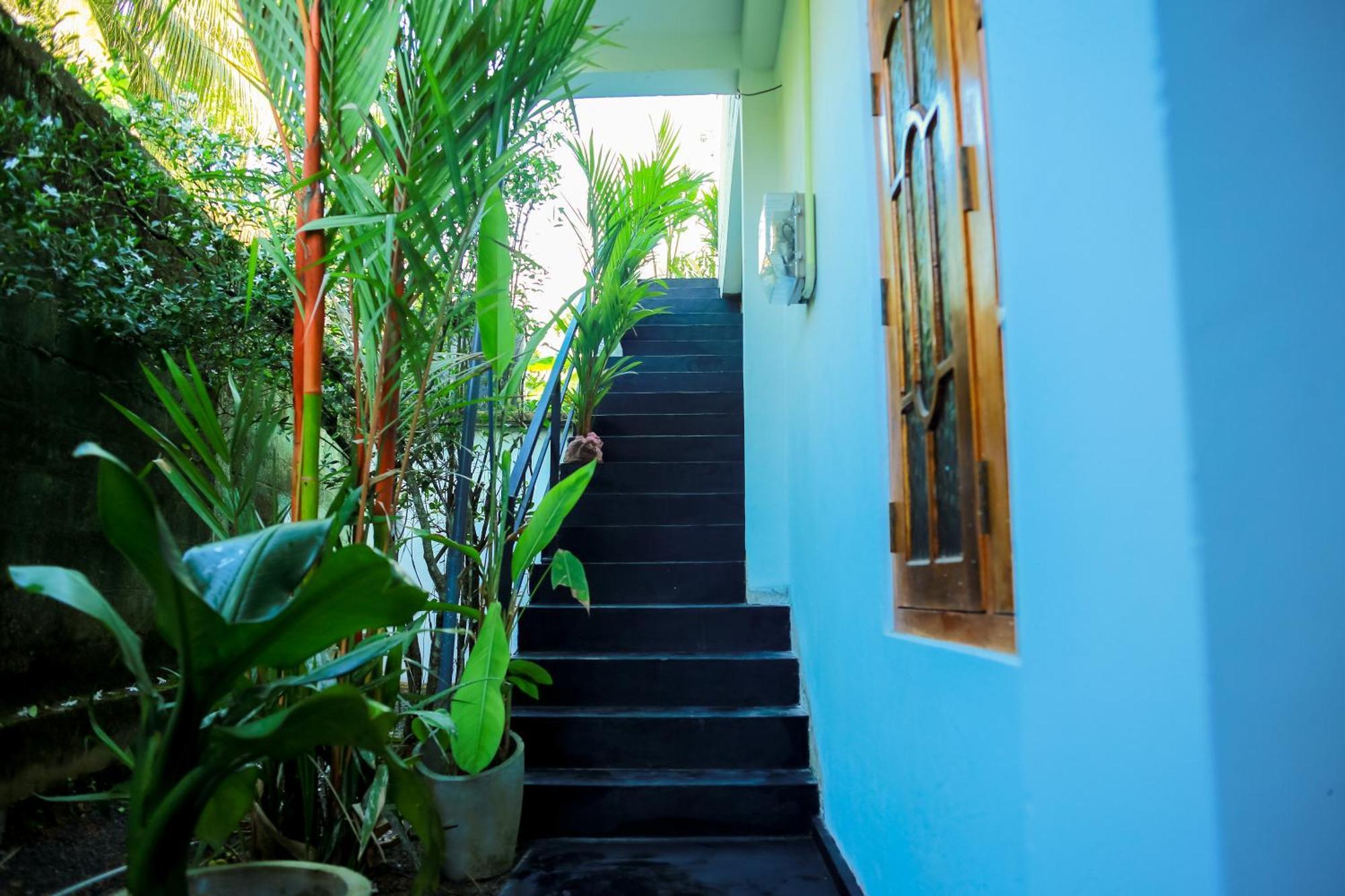 Ruwan Jungle Homestay Mirissa Zewnętrze zdjęcie