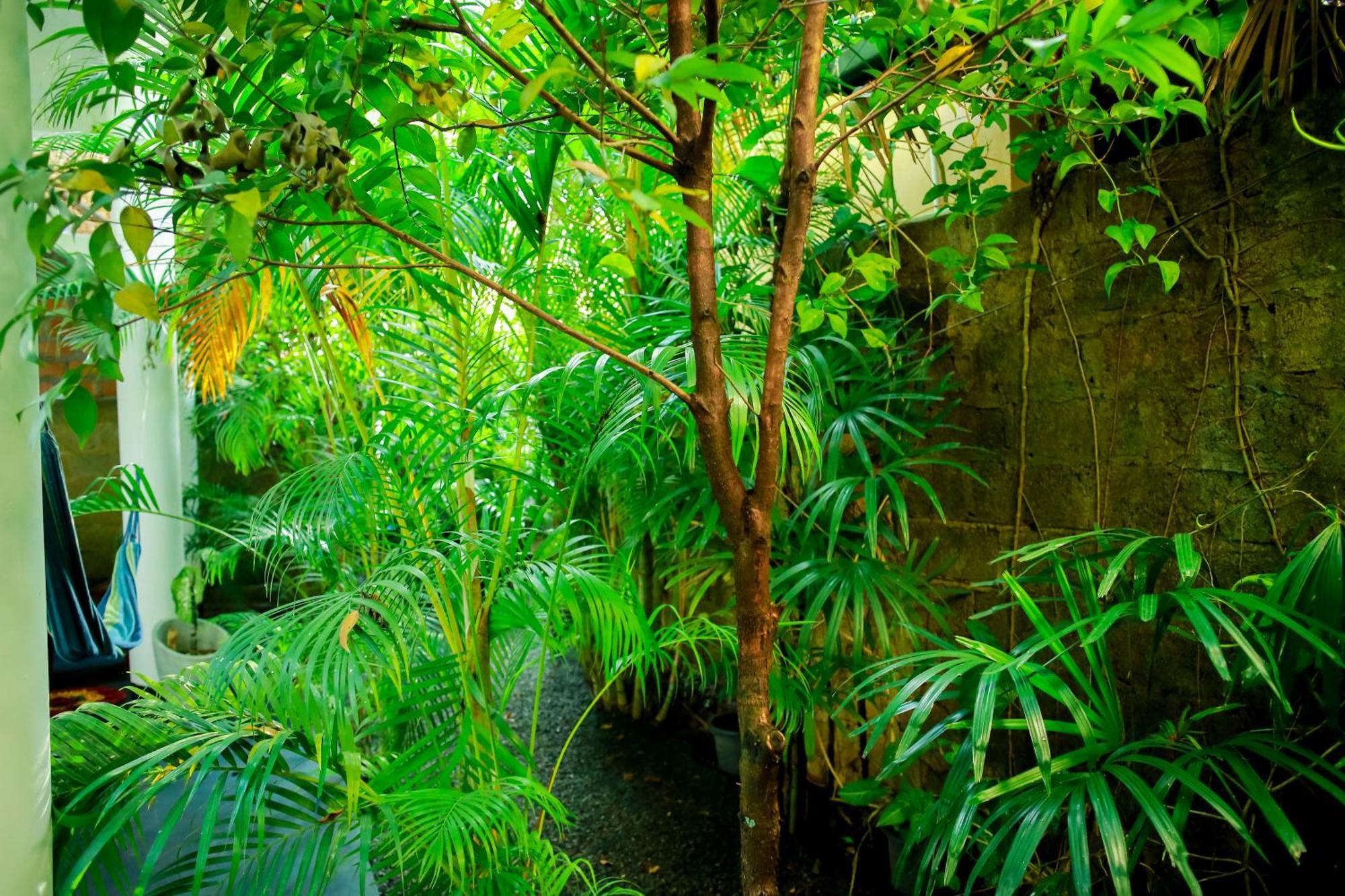 Ruwan Jungle Homestay Mirissa Zewnętrze zdjęcie
