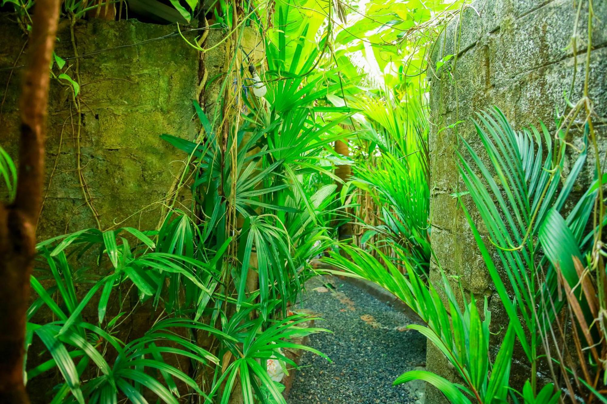 Ruwan Jungle Homestay Mirissa Zewnętrze zdjęcie