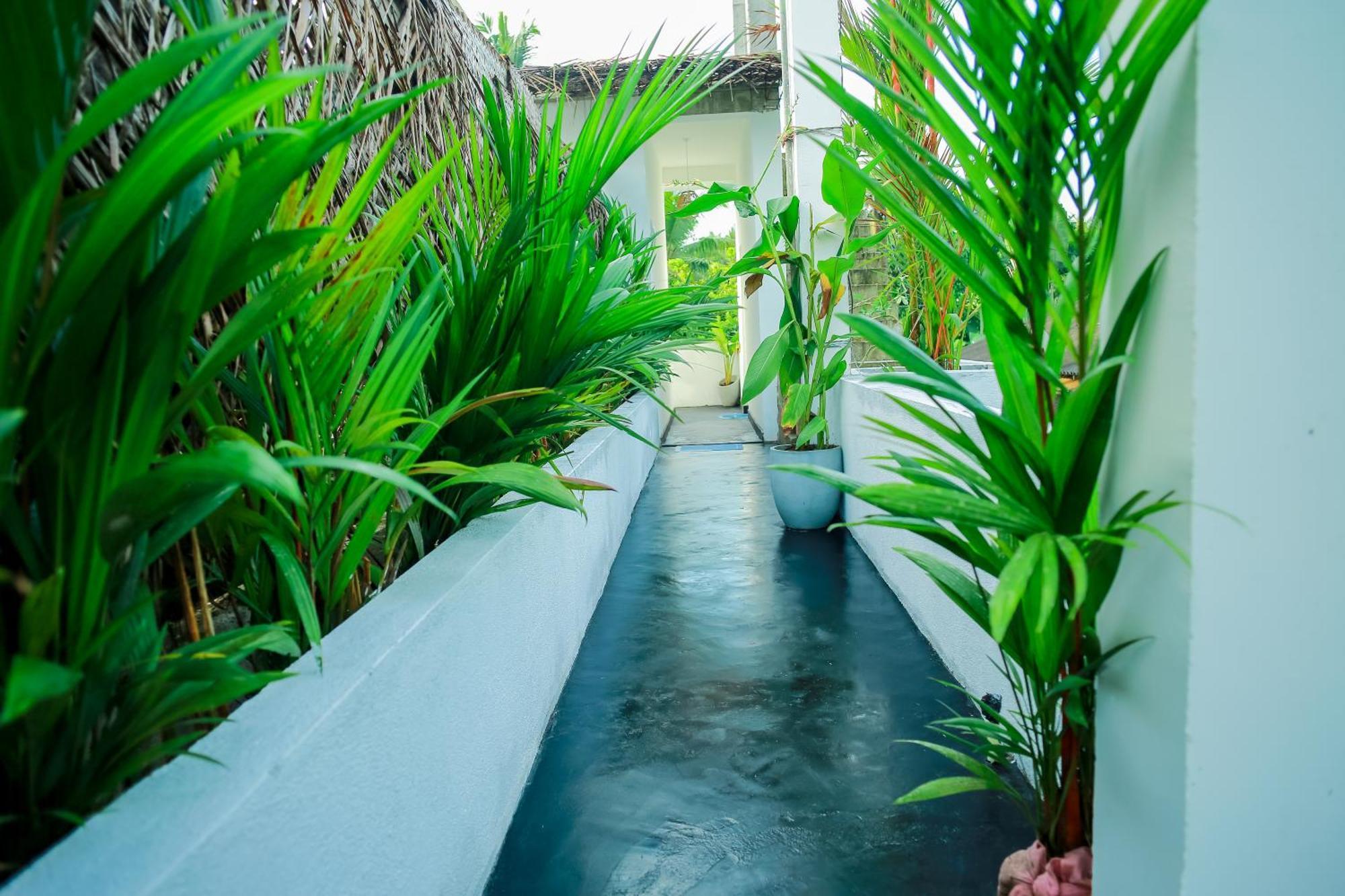 Ruwan Jungle Homestay Mirissa Zewnętrze zdjęcie