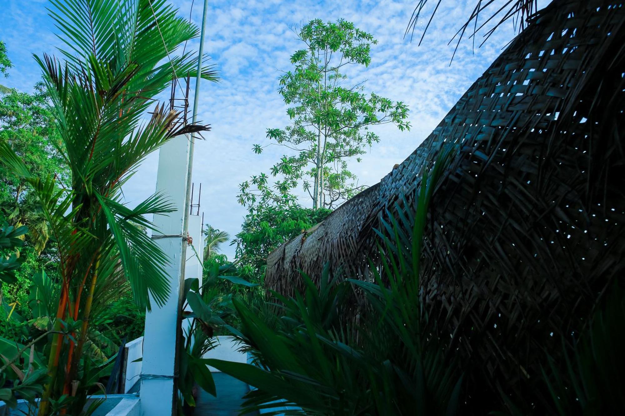 Ruwan Jungle Homestay Mirissa Zewnętrze zdjęcie